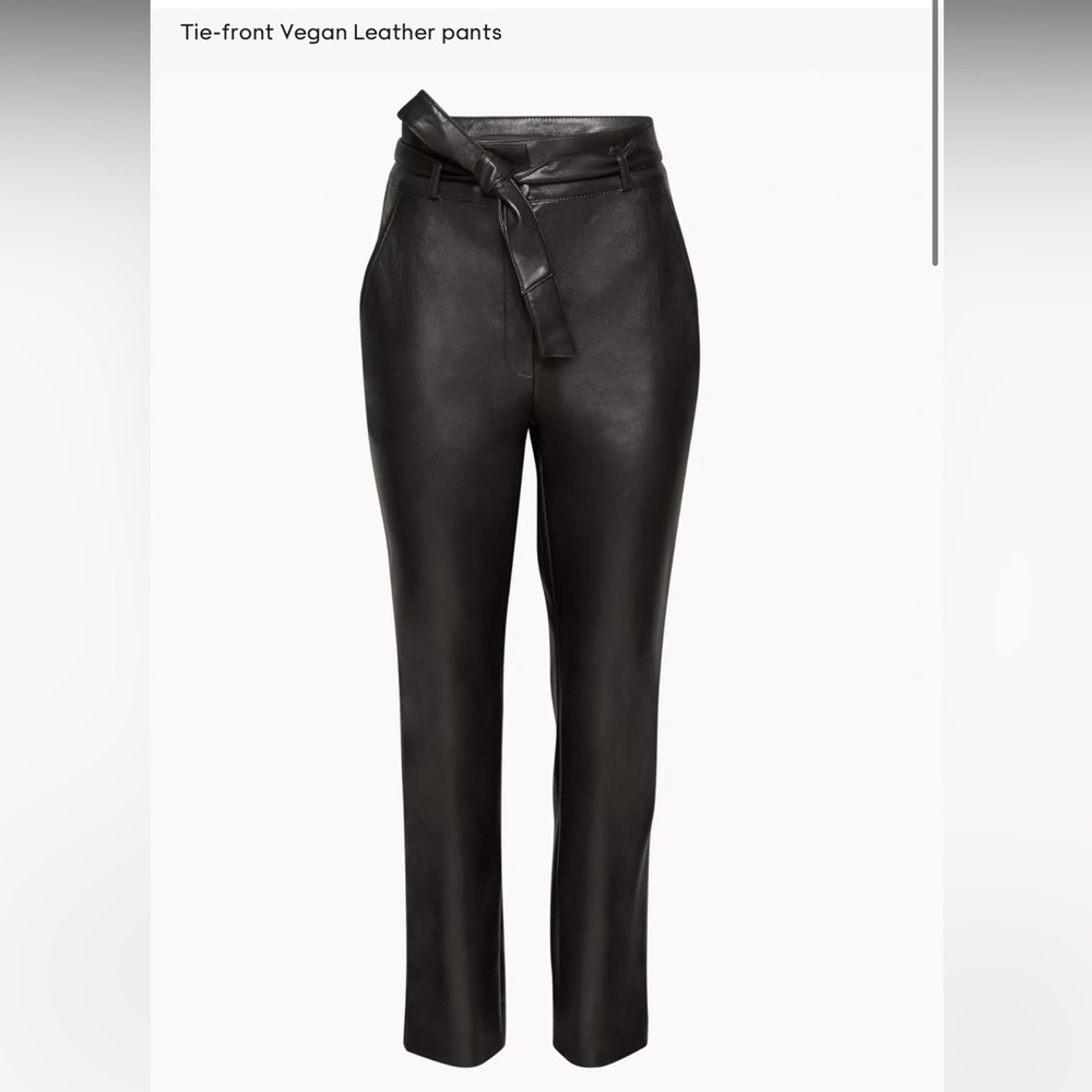 Aritzia Tie-front Vegan Leather pants